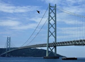 淡路島大江海苔